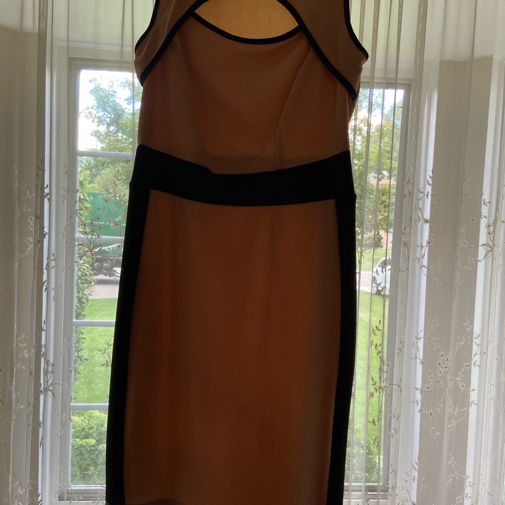 Women (plus size) Tan with Black Trim Dress - Picture 7 of 9
